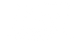LSI International